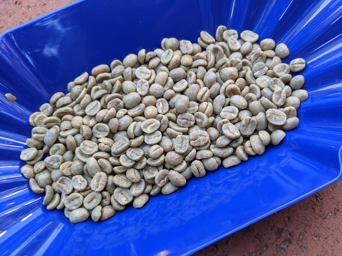 How to Buy Green Coffee and Decode Specialty Coffee&nbsp;Labels